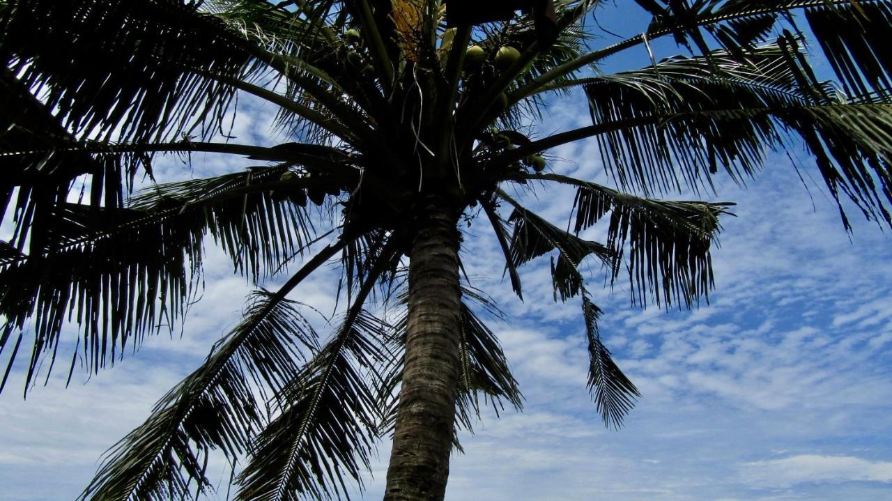 Dikaloha Surfschool And Stay Airsatang Kültér fotó